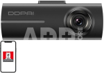 N1 Dual