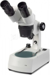 Mikroskopas Novex P-20 LED