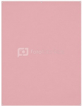 Westcott X Drop Kreukbestendige Achtergrond Licht Roze (1.5 x 2.1 m)