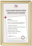 Walther Trendstyle 21x29,7 Resin gold DIN A4 KP130G