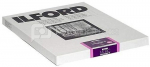 1x100 Ilford MG RC DL 1M 10,5x14,8