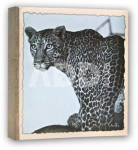 Zep WL57100 Album Slip-in 100 photos 13x19 cm - 12 albums