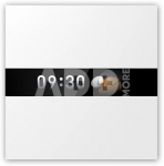 Aqara Display Switch V1