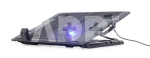 NBS-1F17T-01