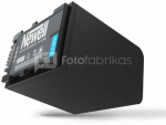 Newell NP-FV100A