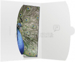1x50 Daiber Cover 15x20 white