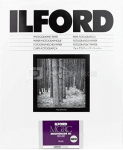 1x 10 Ilford MG RC DL 44M 24x30
