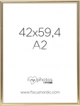 Focus Can-Can Shiny Gold 42x59,4 (A2)