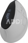 Natec Mouse | Euphonie Pro | Wireless | 2.4 GHz, Bluetooth | White