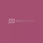 Falcon Eyes Background Paper 0062 Plum 2,75 x 11 m