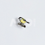 Ženkliukas GREAT TIT / Didžioji zylė