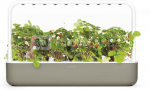 Click & Grow Smart Garden 9, beige