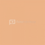 Falcon Eyes Background Paper 0026 Pongee 2,75 x 11 m