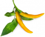 Click & Grow Smart Garden refill Yellow Chili 3pcs