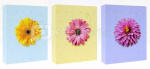 Albumas GED MM46200 COLORFULL 10x15 200 | ki&scaron;eninis | klijuotas
