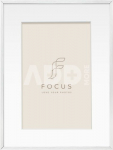 Focus Aster Silver 30x40/PP 20x30