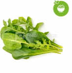 Click & Grow Plant Pod Salad Mix 9pcs