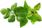 Click & Grow Plant Pod Basil Variety Mix 9pcs