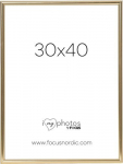 Focus Can-Can Shiny Gold 30x40