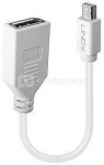 ADAPTER MINI DP TO DP/0.2M 41021 LINDY