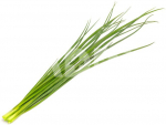 Click & Grow Smart Garden Refill Green onion 3pcs