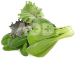 Click & Grow Plant Pod Asian Greens Mix 9pcs