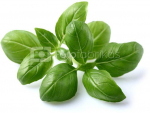 Click & Grow Smart Garden refill Basil 3pcs