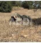 Maskuotė Ghillie smėlio spalvos