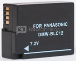 Panasonic, battery DMW-BLC12