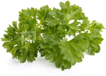 Click & Grow Smart Garden refill Parsley 3pcs