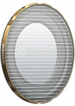 Filter GoldMorphic PolarPro LiteChaser Pro for iPhone 13 / iPhone 14