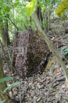 Camo maskuojantis tinklas ruduo 1.5x5 m