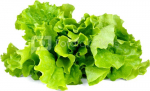 Click & Grow Smart Garden refill Lettuce 3pcs