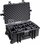 BW OUTDOOR CASES TYPE 6700 BLK RPD (DIVIDER SYSTEM)