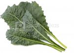 Click & Grow Smart Refill Italian Kale 3pcs