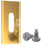 Automatinės vejapjovės peiliukai, 35x18x0.6 mm, padengti titanu, 30vnt.