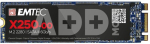 X250 256GB M.2 ECSSD256GX250