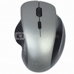 Gembird Wireless Optical mouse MUSW-6B-02-BG  USB, Black-Spacegrey