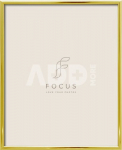 Focus Lily Gold 15x20