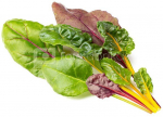 Click & Grow Smart Refill Rainbow Chard 3pcs