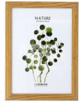 Frame GED 21x30 wooden D521 light brown |15x9mm