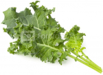 Click & Grow Smart Refill Green Kale 3pcs