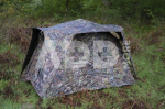 Tragopan Photohide Monal V2