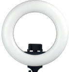 Caruba Round Vlogger 12 inch LED set met tas   Black