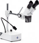 Binokuliarinė Euromex lupa BE-50 20x