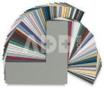 Pasportas 30x40/21x29,7 žalias [E]