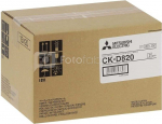 Mitsubishi CK-D 820 10x15 cm 2x 430 Prints