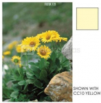 Cokin Filter P723 Yellow CC (CC20Y)