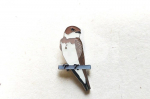 Ženkliukas SAND MARTIN / Urvinė kregždė