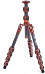Pro 2.0 Leo Bronze Carbon tripod